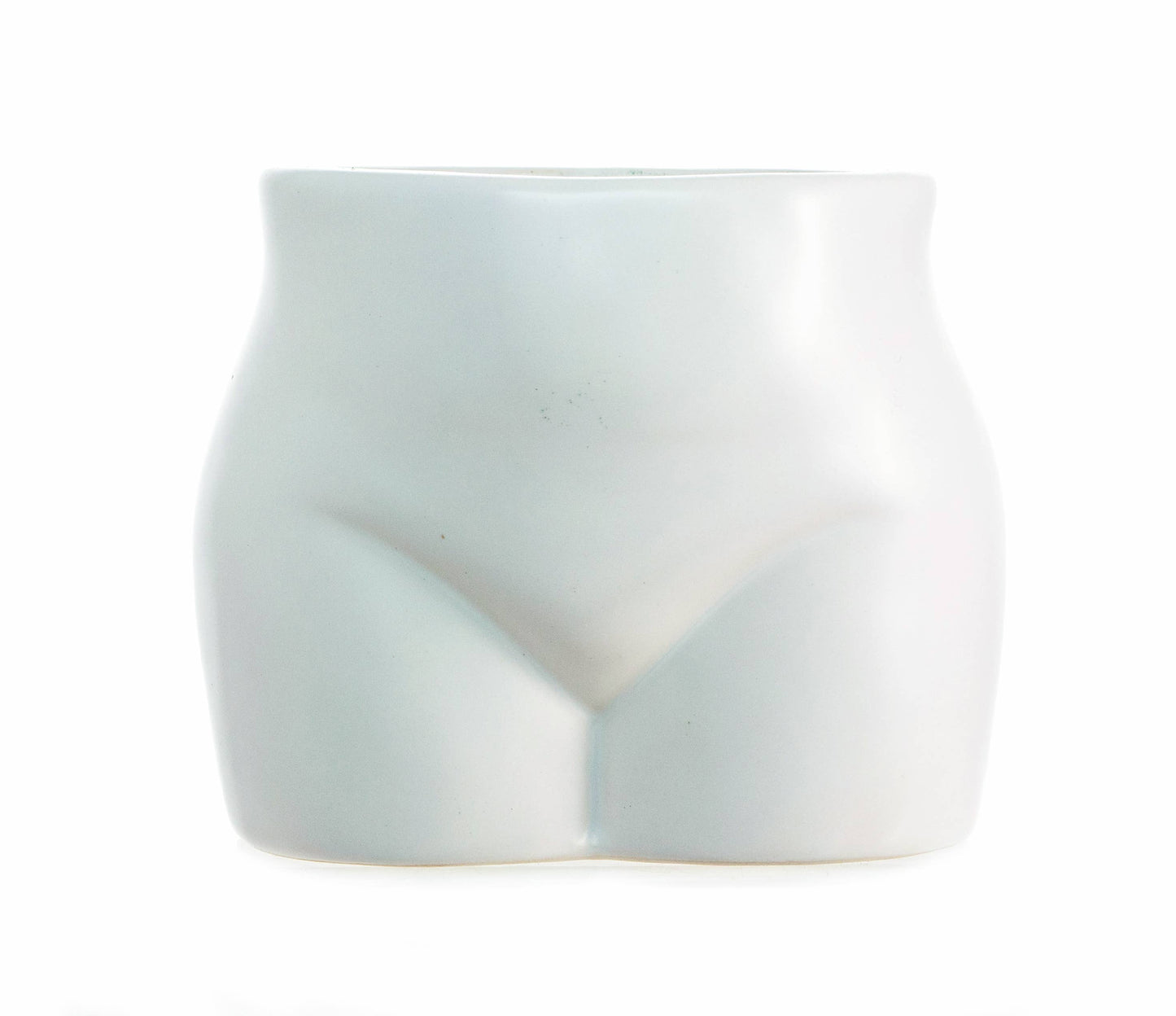 I Like Big Buds Put Some Plants On - Novelty Indoor Planter