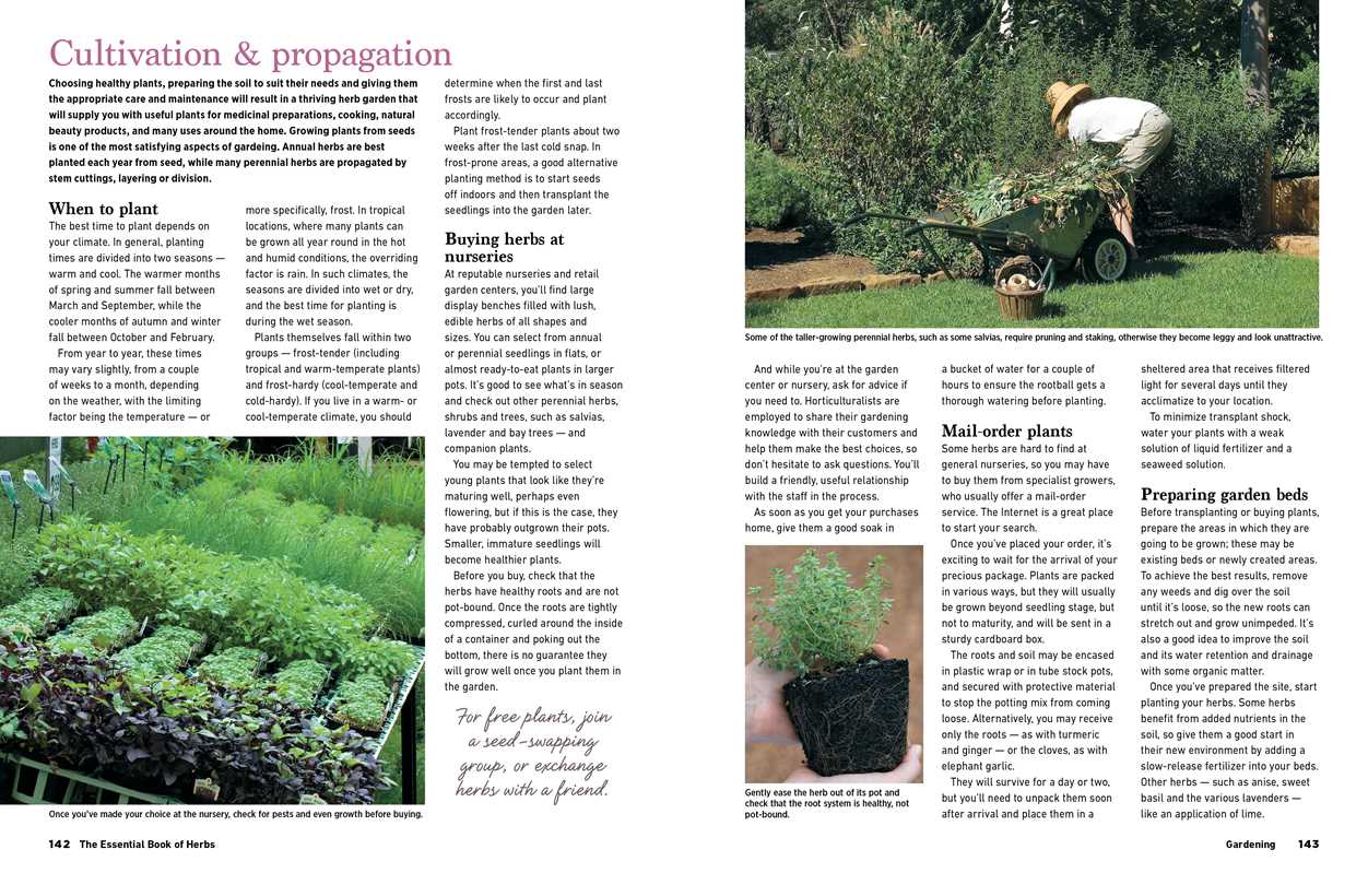 Reader's Digest The Essential Book of Herbs by