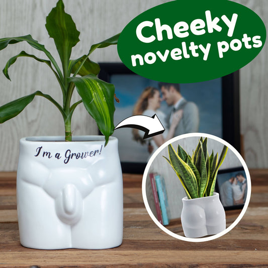 I'm A Grower Put Some Plants On - Novelty Indoor Planter