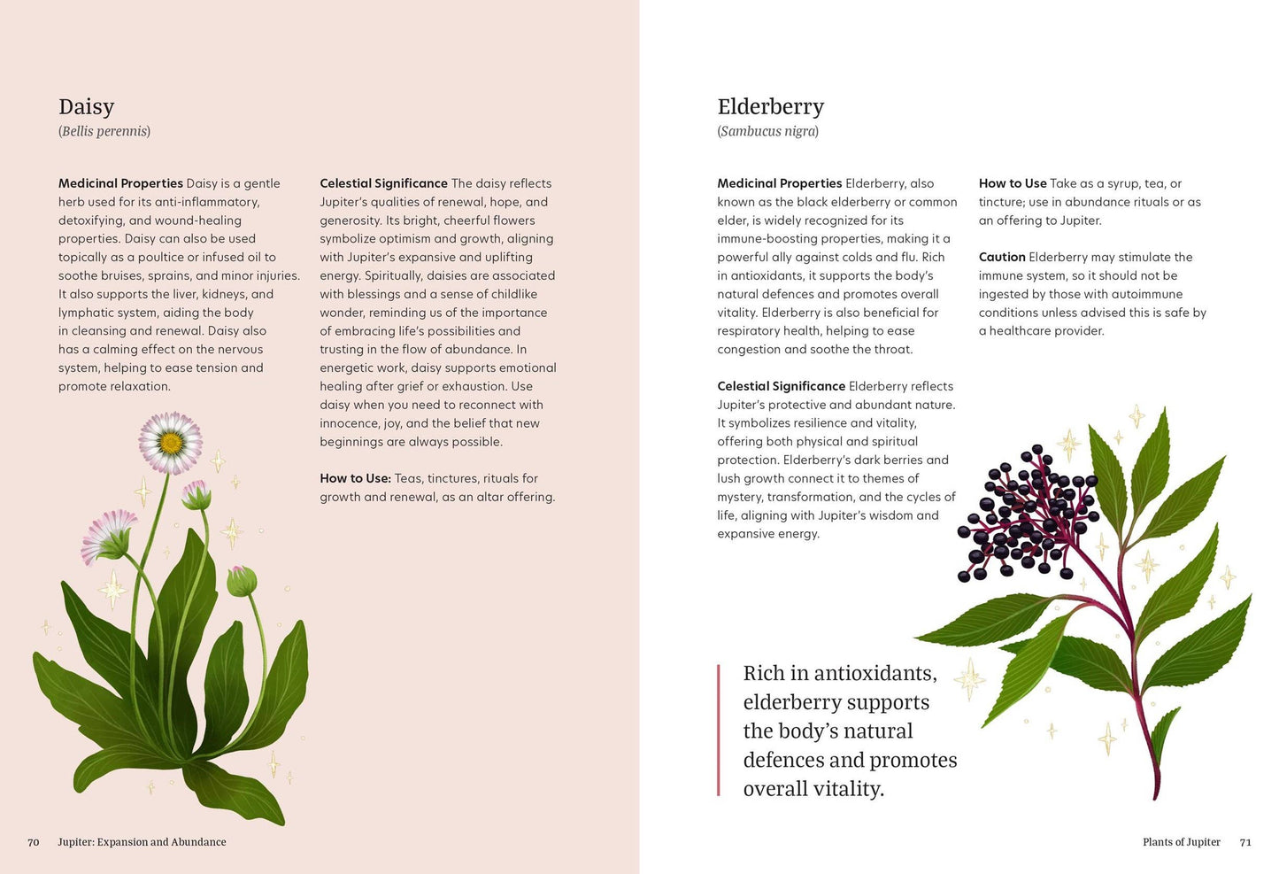 Astro Herbalism