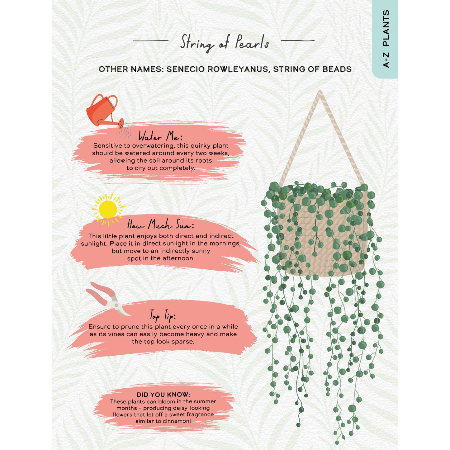 Please Don't Die - Houseplants Guide Book for Plant Moms