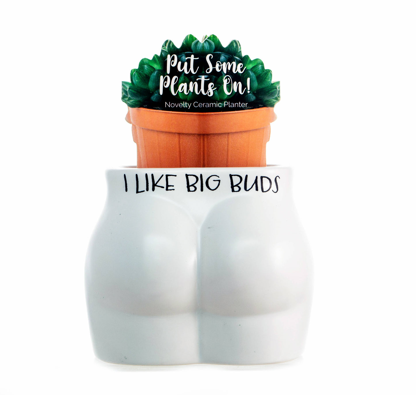 I Like Big Buds Put Some Plants On - Novelty Indoor Planter