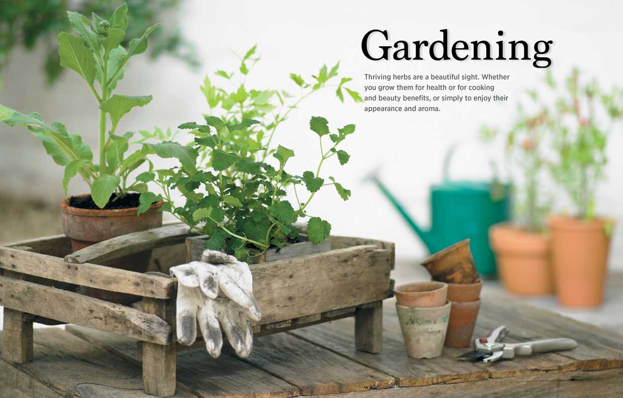 Reader's Digest The Essential Book of Herbs by