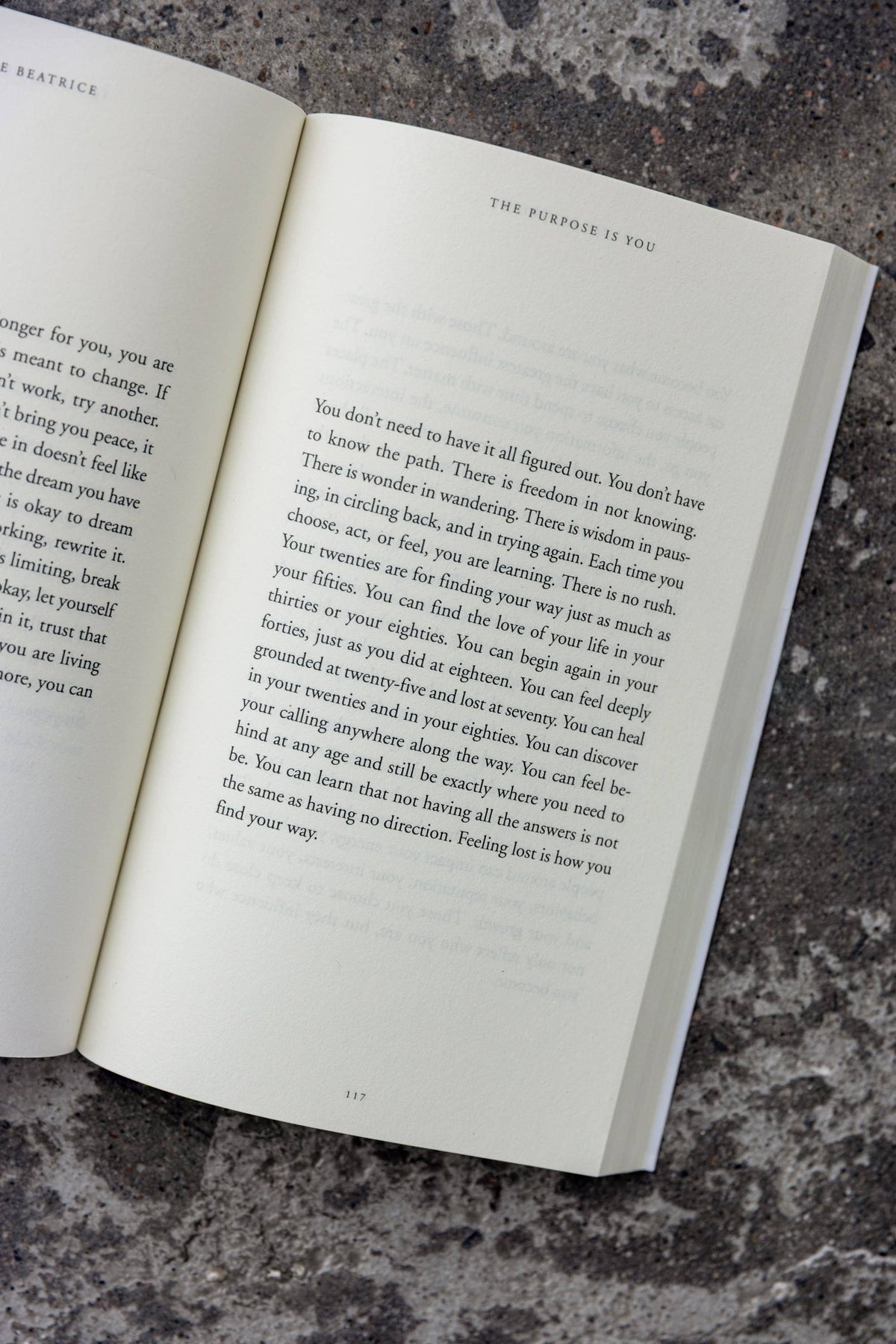 The Purpose Is You (book)
