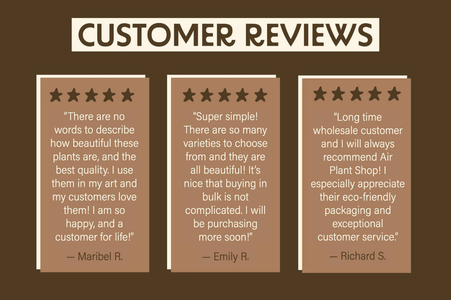 Ready-To-Use Tillandsia Air Plant Fertilizer