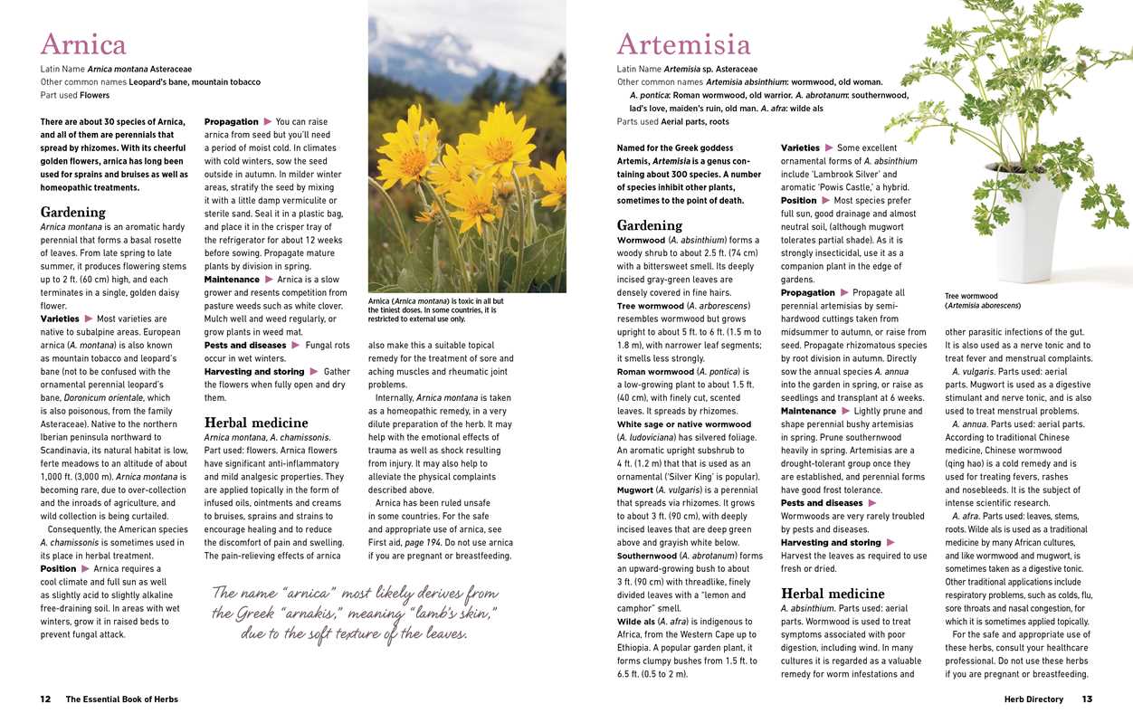 Reader's Digest The Essential Book of Herbs by