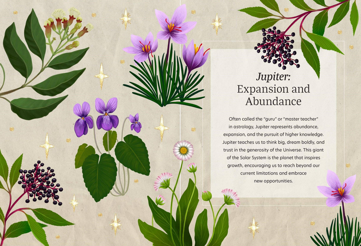Astro Herbalism