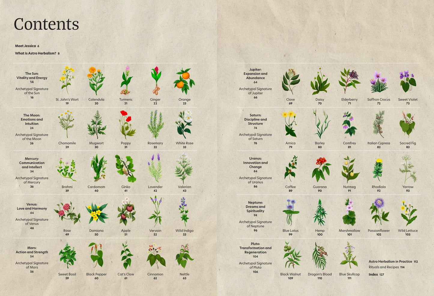 Astro Herbalism