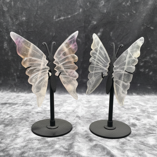Fluorite Butterfly